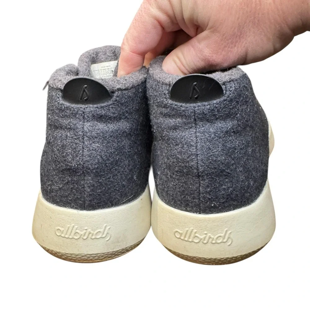 allbirds brand model